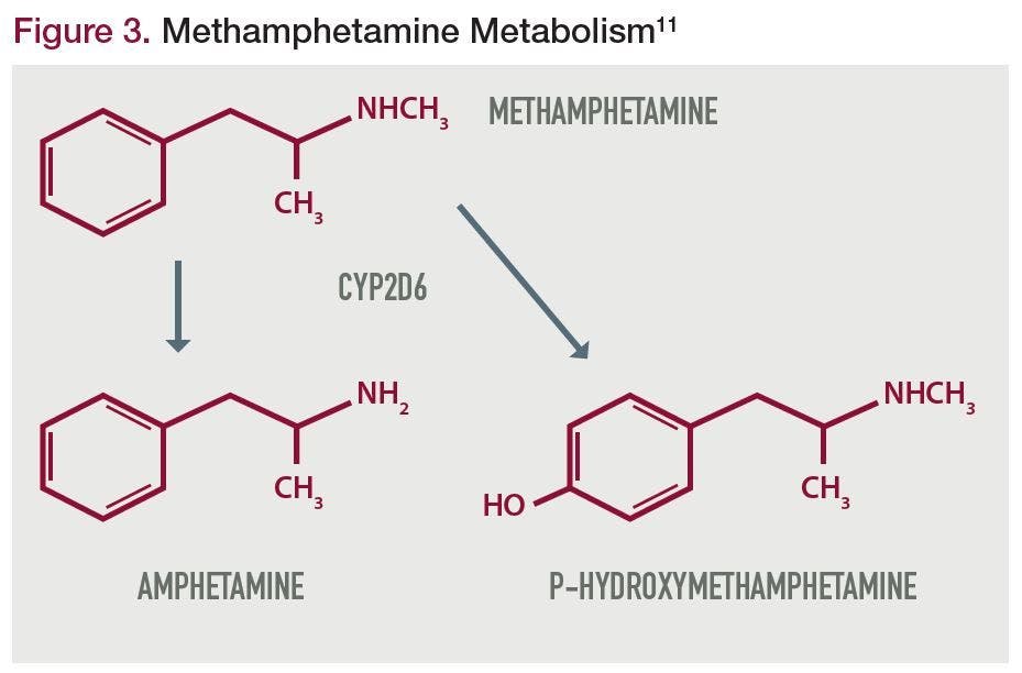  Methamphetamine Metabolism
