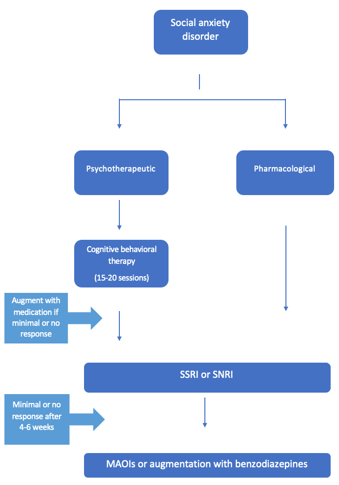 Figure 2. Brief Treatment Algorithm for Social Anxiety Disorder