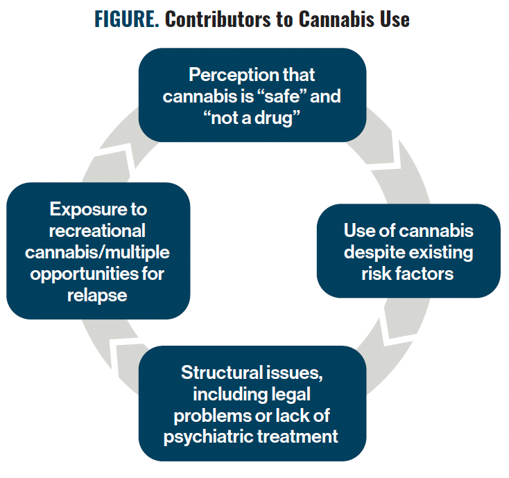 FIGURE. Contributors to Cannabis Use