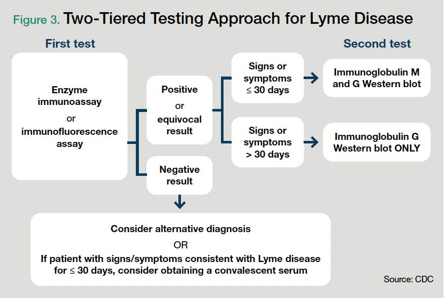 Figure 3. Two-Tiered Testing Approach for Lyme Disease