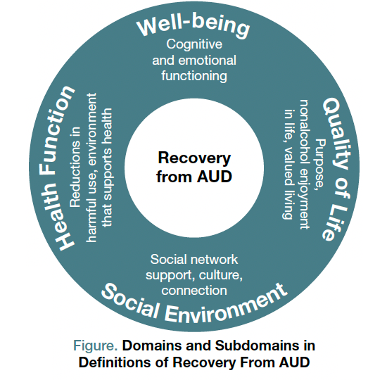 Figure. Domains and Subdomains in Definitions of Recovery from AUD