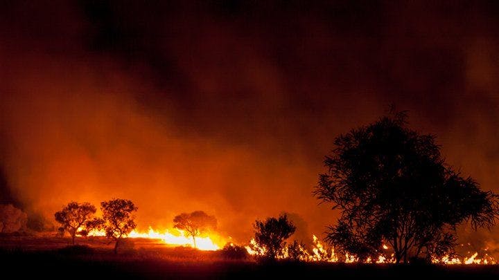 Australia fires, climate change