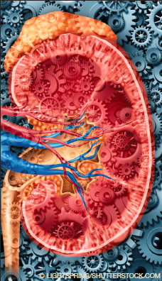 Clinical Considerations in Renal Failure, Depression, and Delirium