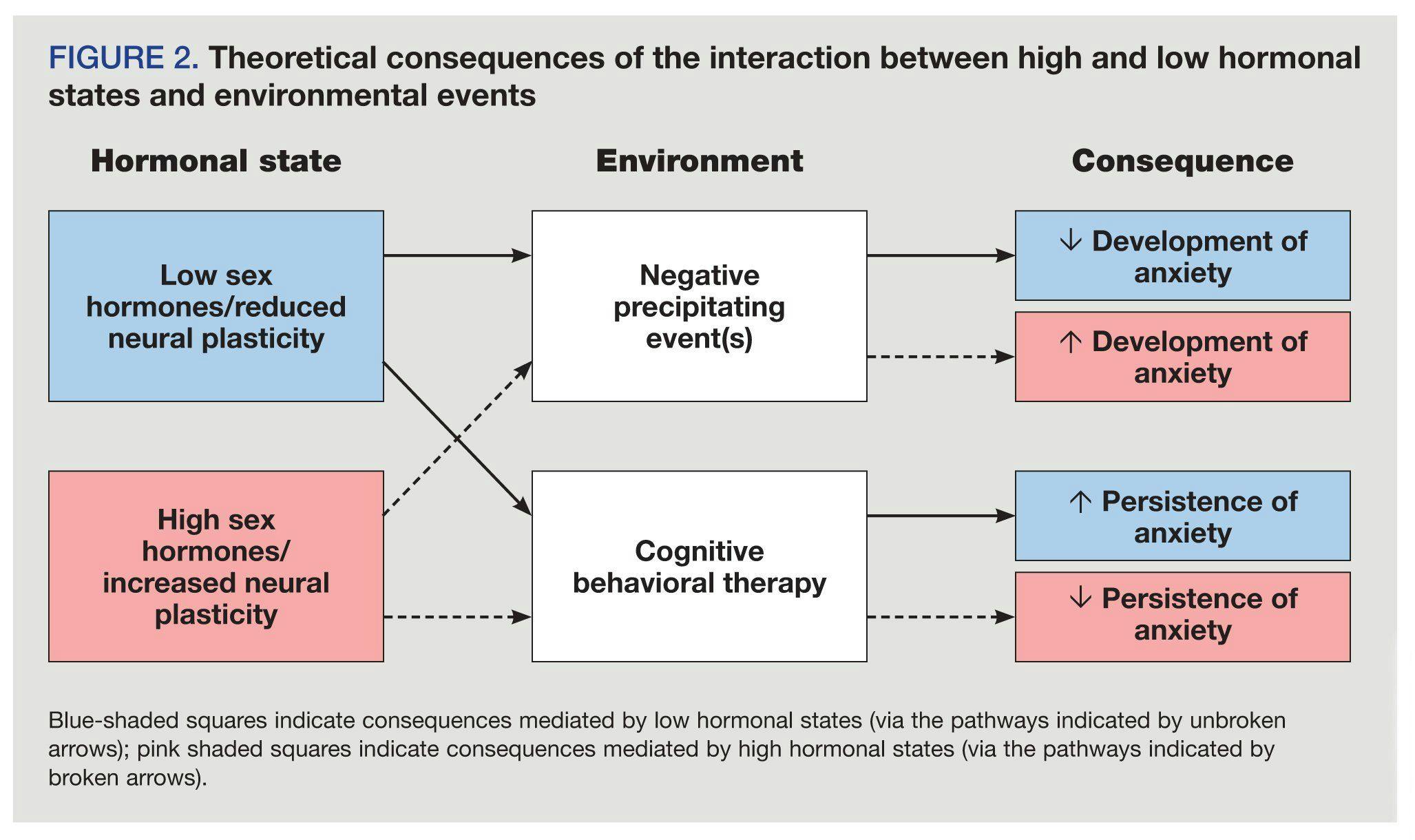 Theoretical consequences of the interaction between high and low hormonal states and environmental events