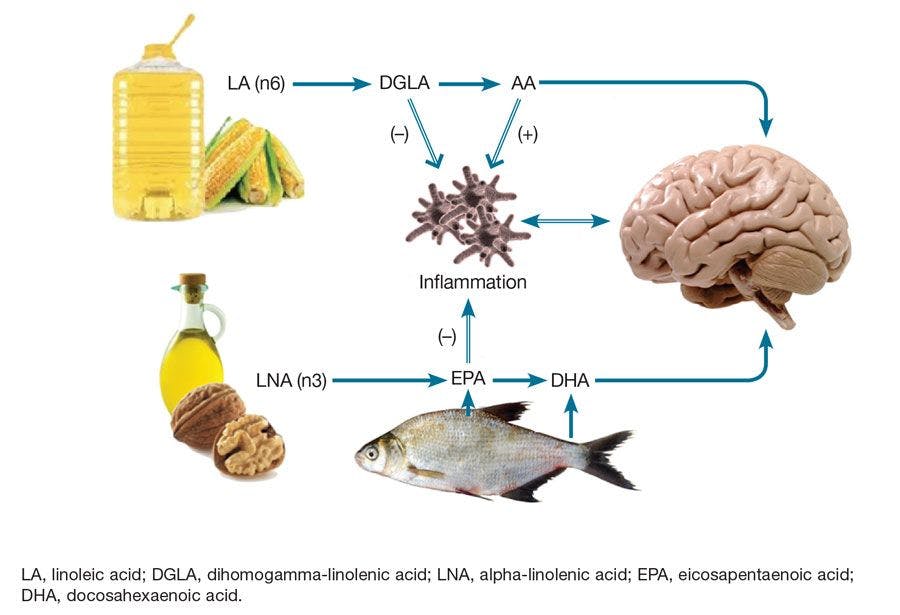 Different sources of omega-3 and omega-6 fatty acids