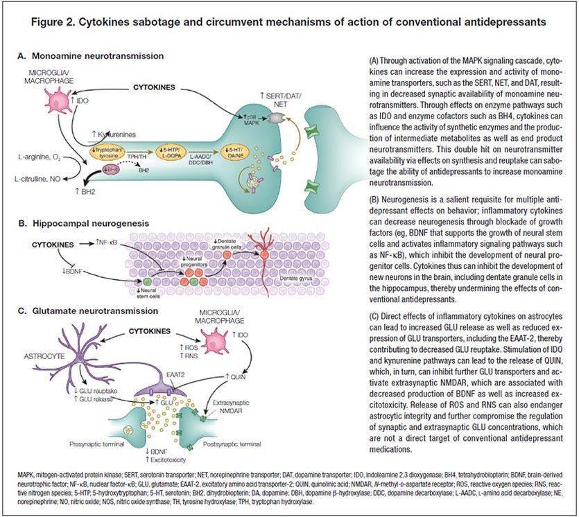 Cytokines circumvent mechanisms of action of conventional antidepressantsre