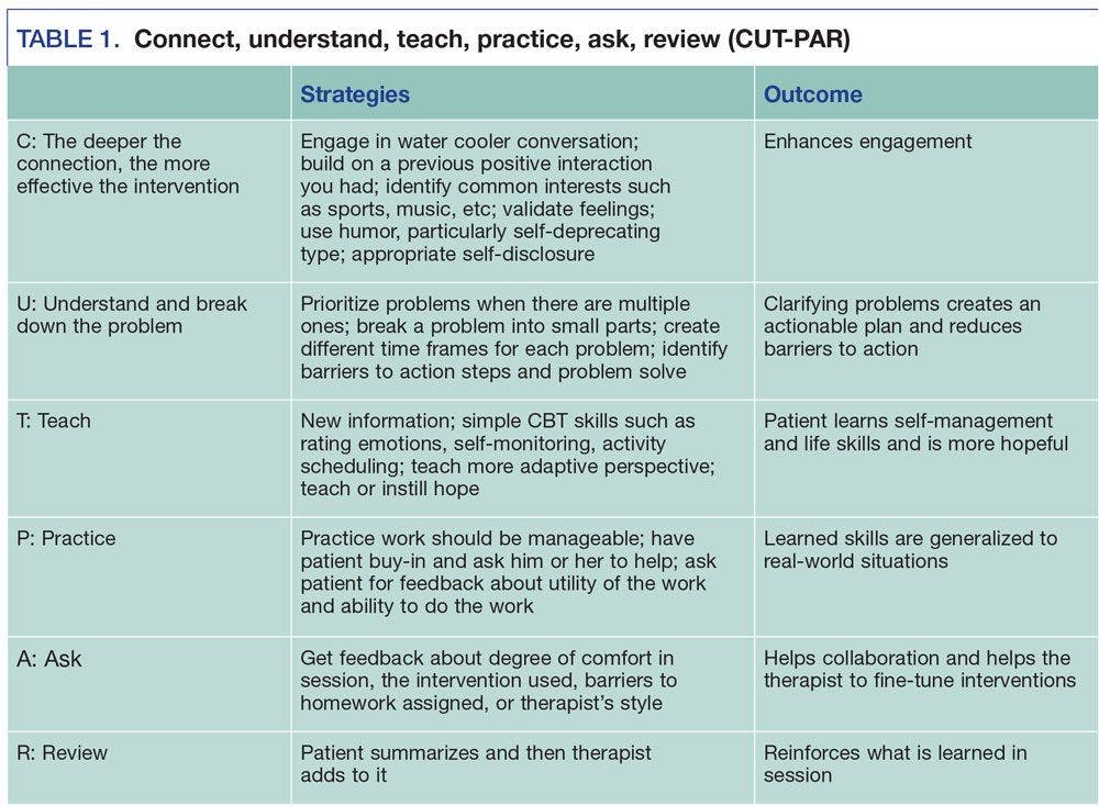 Connect, understand, teach, practice, ask, review (CUT-PAR)
