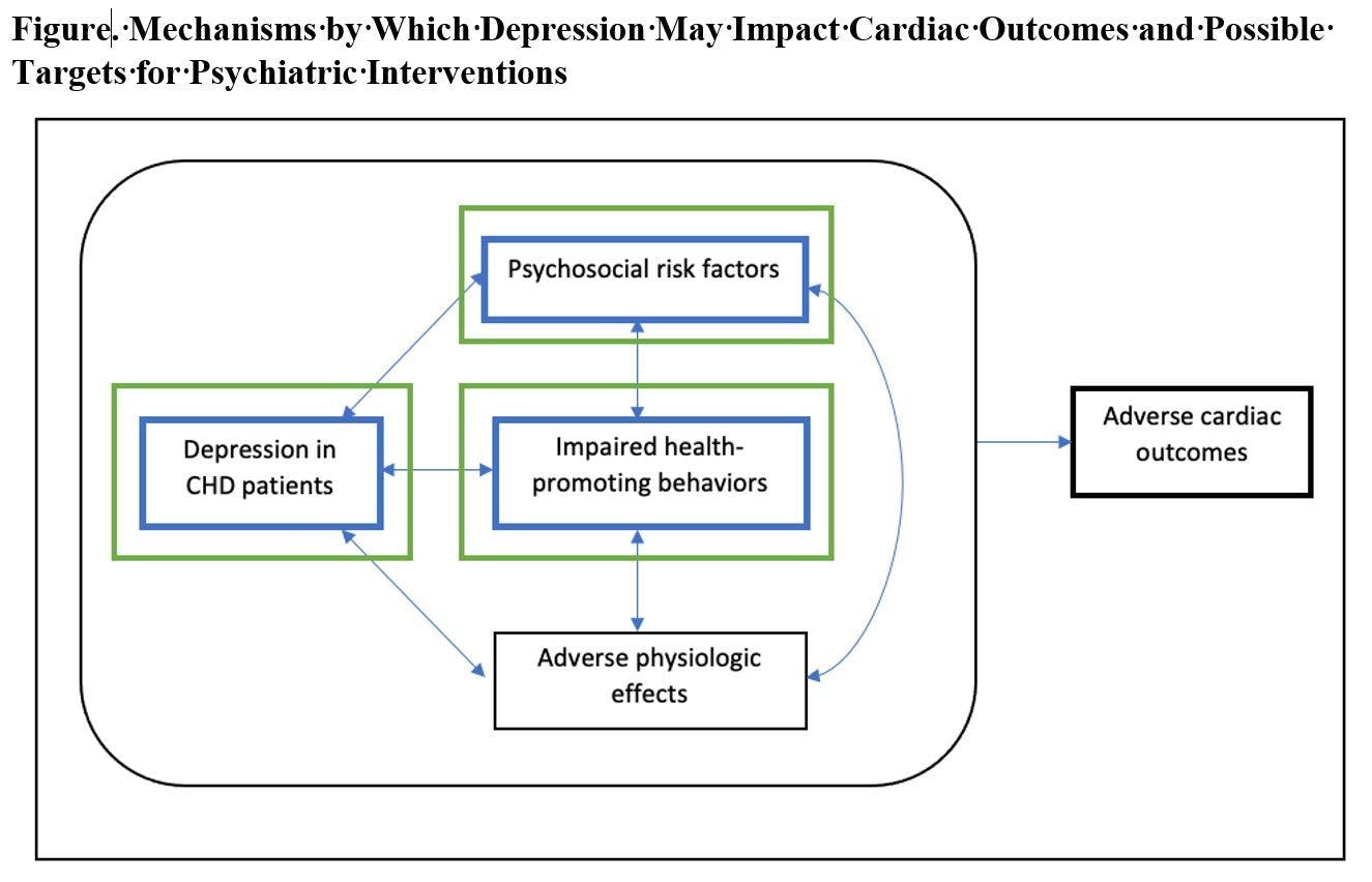 Figure. Mechanisms by Which Depression May Impact Cardiac Outcomes and Possible Targets for Psychiatric Interventions