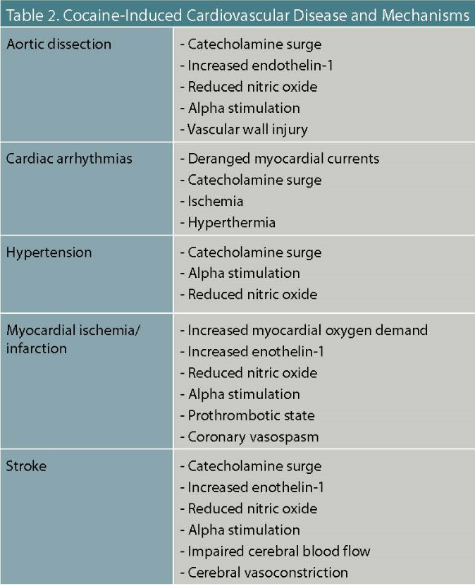 Cocaine-Induced Cardiovascular Disease and Mechanisms