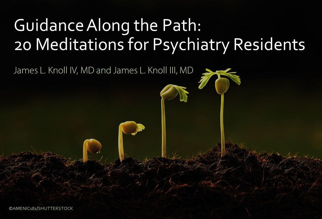 Guidance Along the Path: 20 Meditations for Psychiatry Residents
