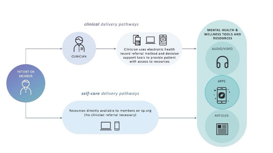 Figure 1. Clinical Delivery Pathways 