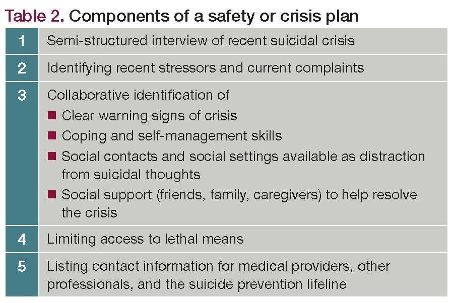 Components of a safety or crisis plan