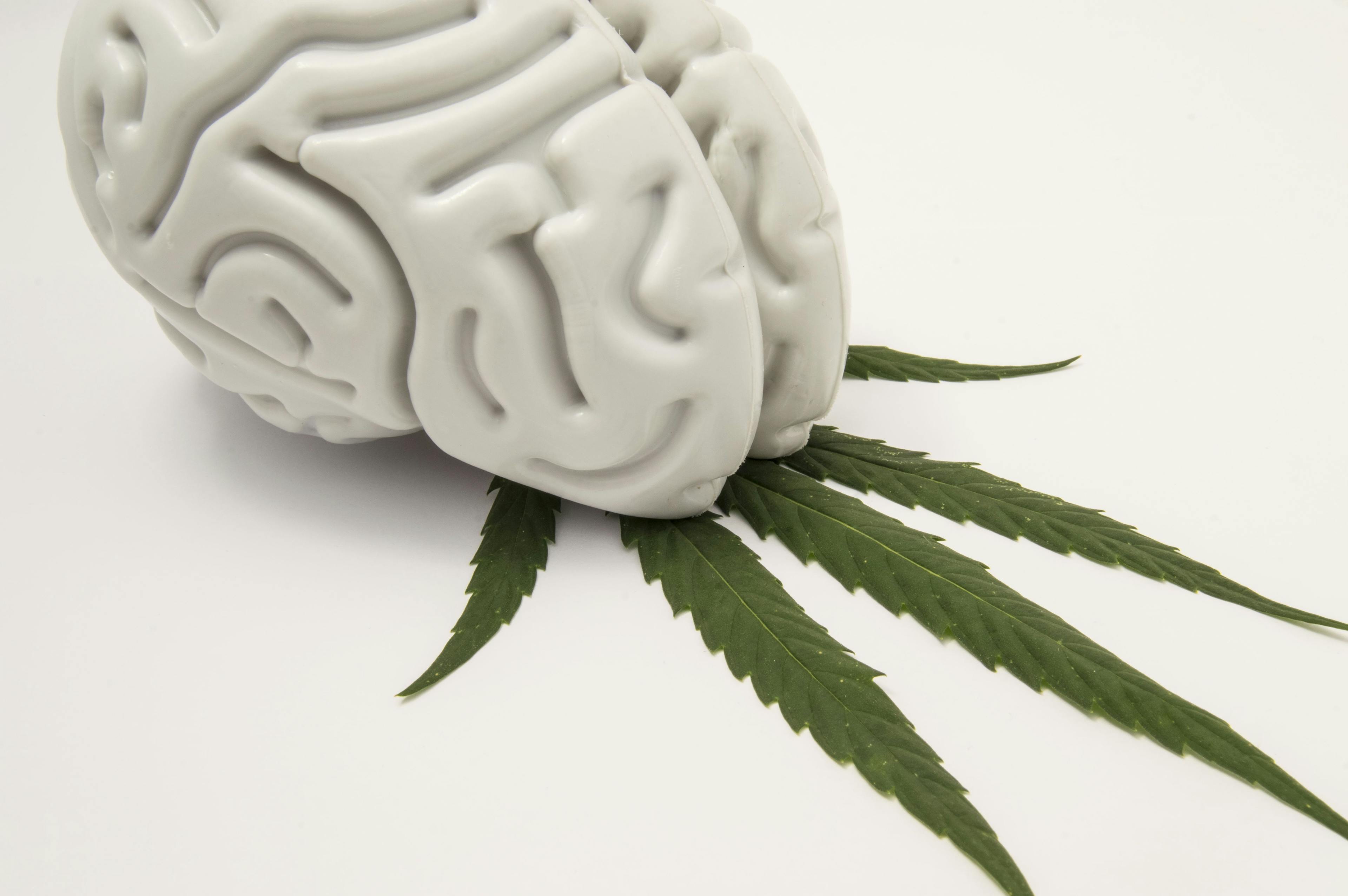 What is the effect of cannabis use on adherence to medications in patients with psychosis?