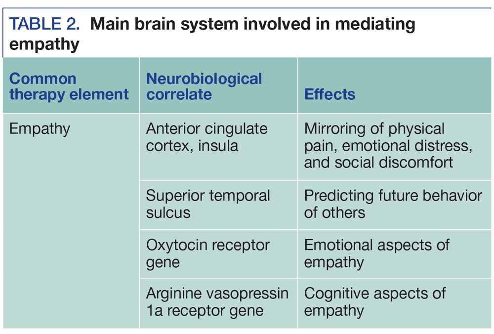 Main brain system involved in mediating empathy