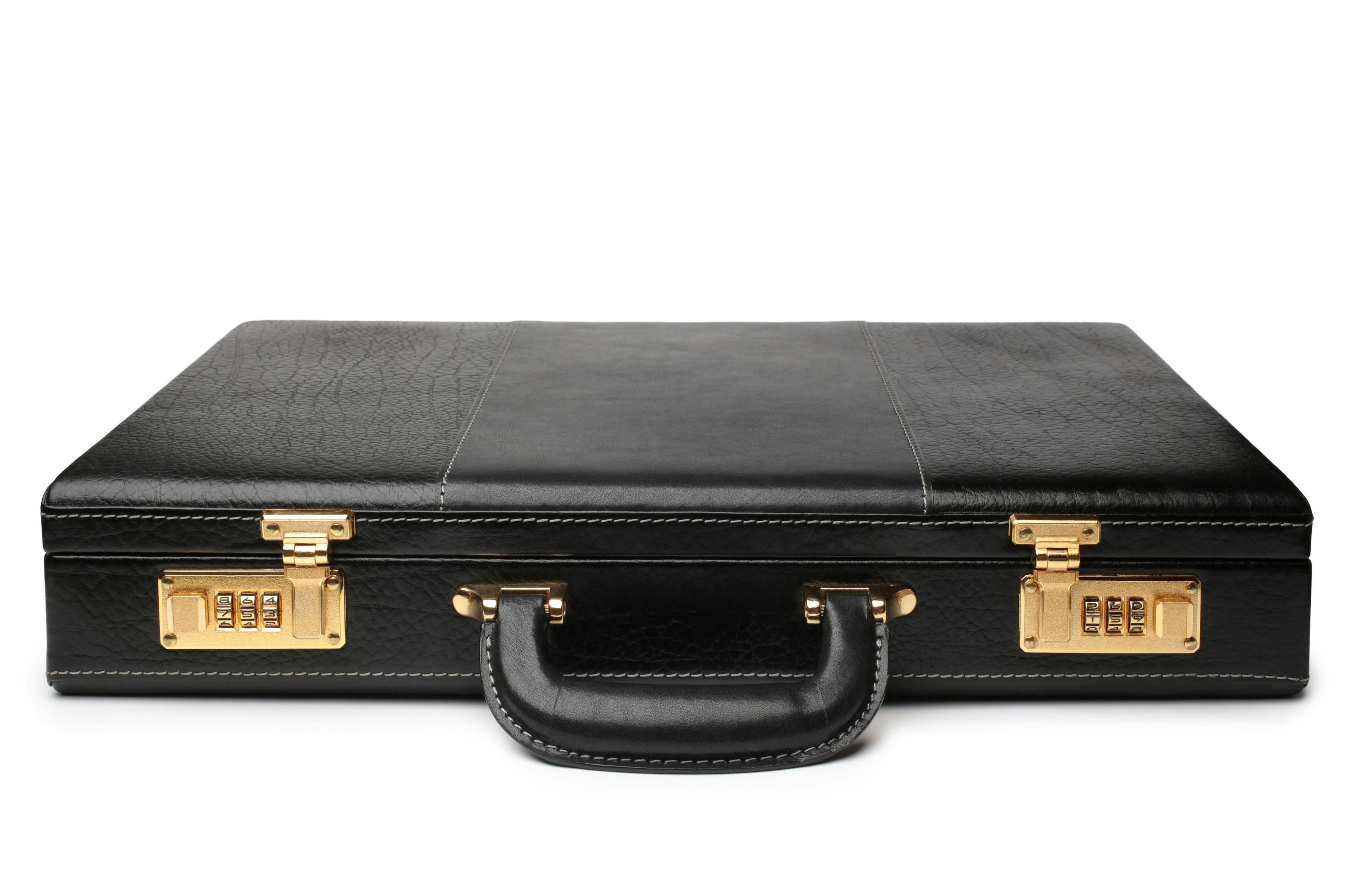 briefcase, baggage