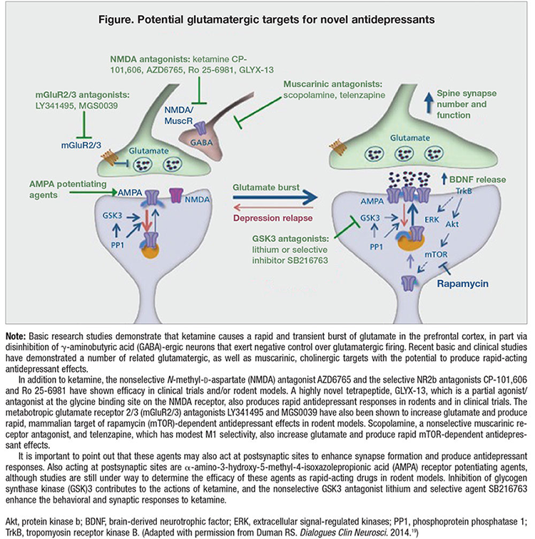 Potential glutamatergic targets for novel antidepressants