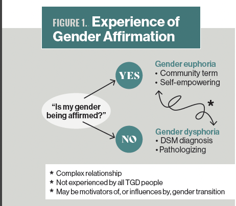 Figure 1. Experience of Gender Affirmation