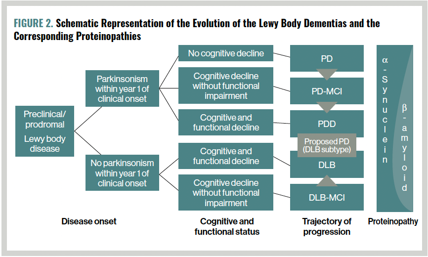 FIGURE 2. Schematic Representation of the Evolution of the Lewy Body Dementias and the Corresponding Proteinopathies
