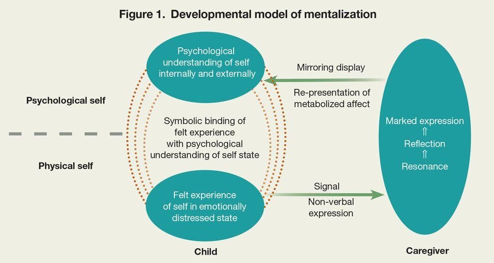 Developmental model of mentalization
