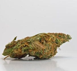 Marijuana and Madness: Clinical Implications of Increased Availability and Potency