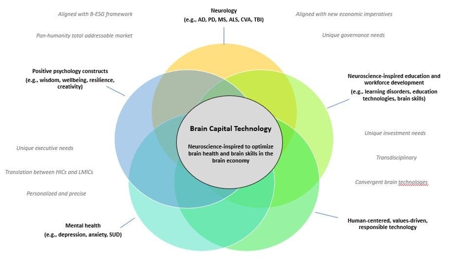 Figure 1: Brain Capital Technology Overview