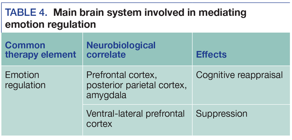 Main brain system involved in mediating emotion regulation