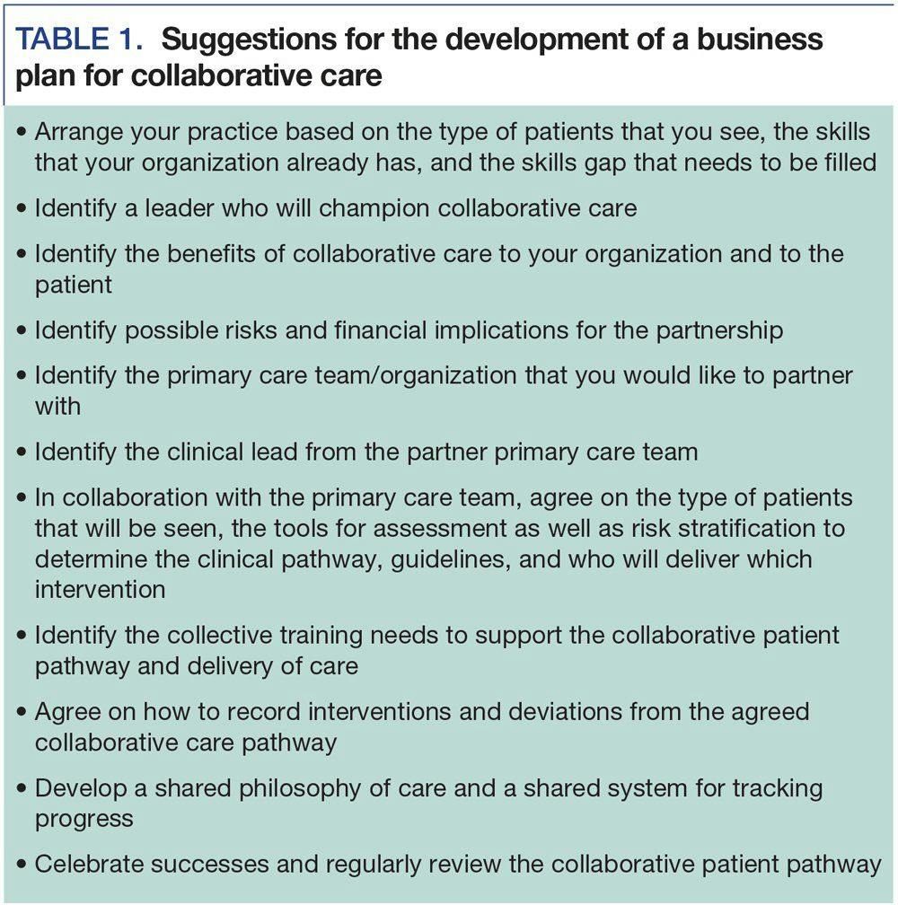 Suggestions for the development of a business plan for collaborative care