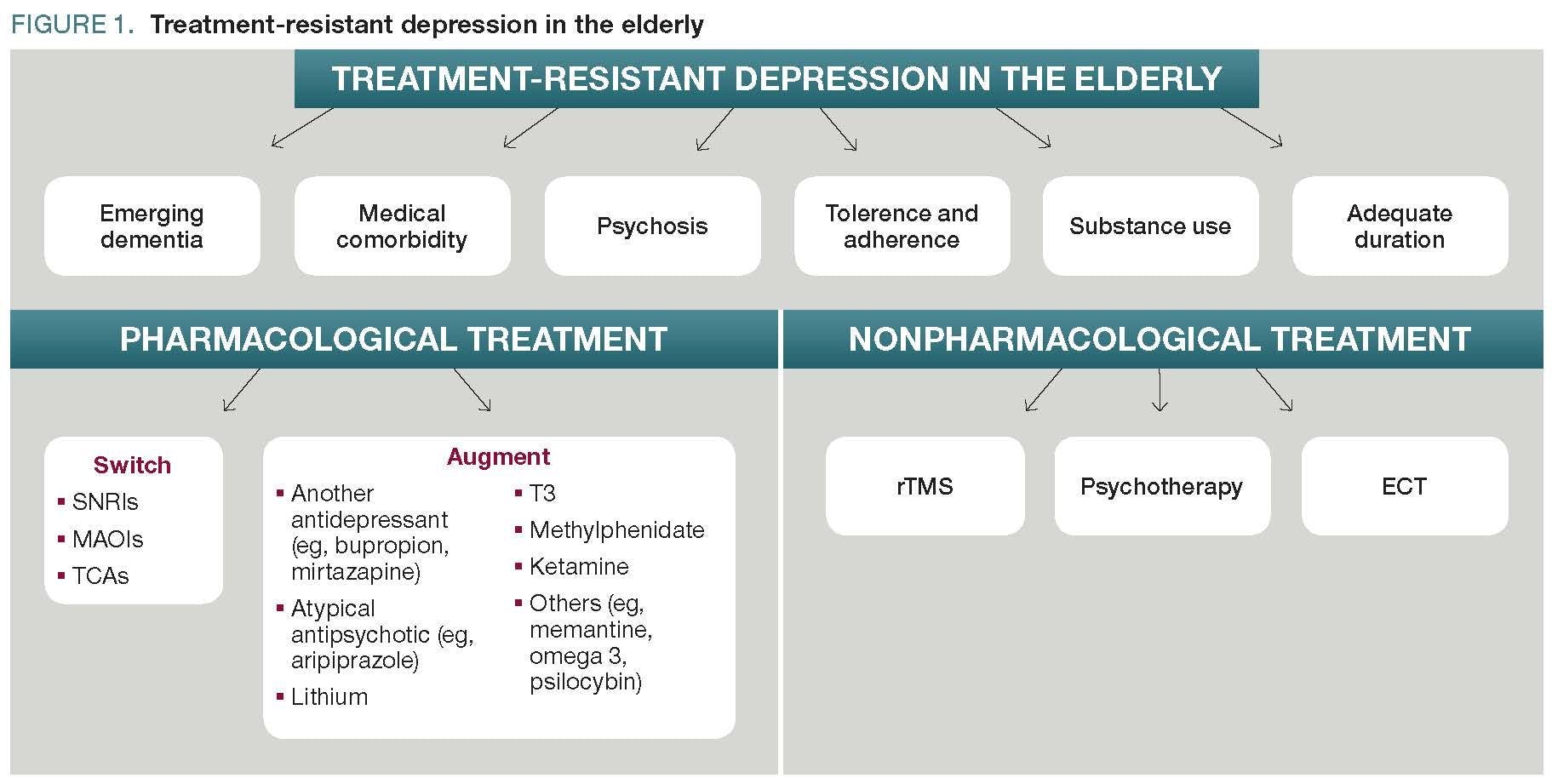 Treatment-resistant depression in the elderly