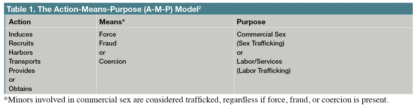 Table 1. The Action-Means-Purpose (A-M-P) Model