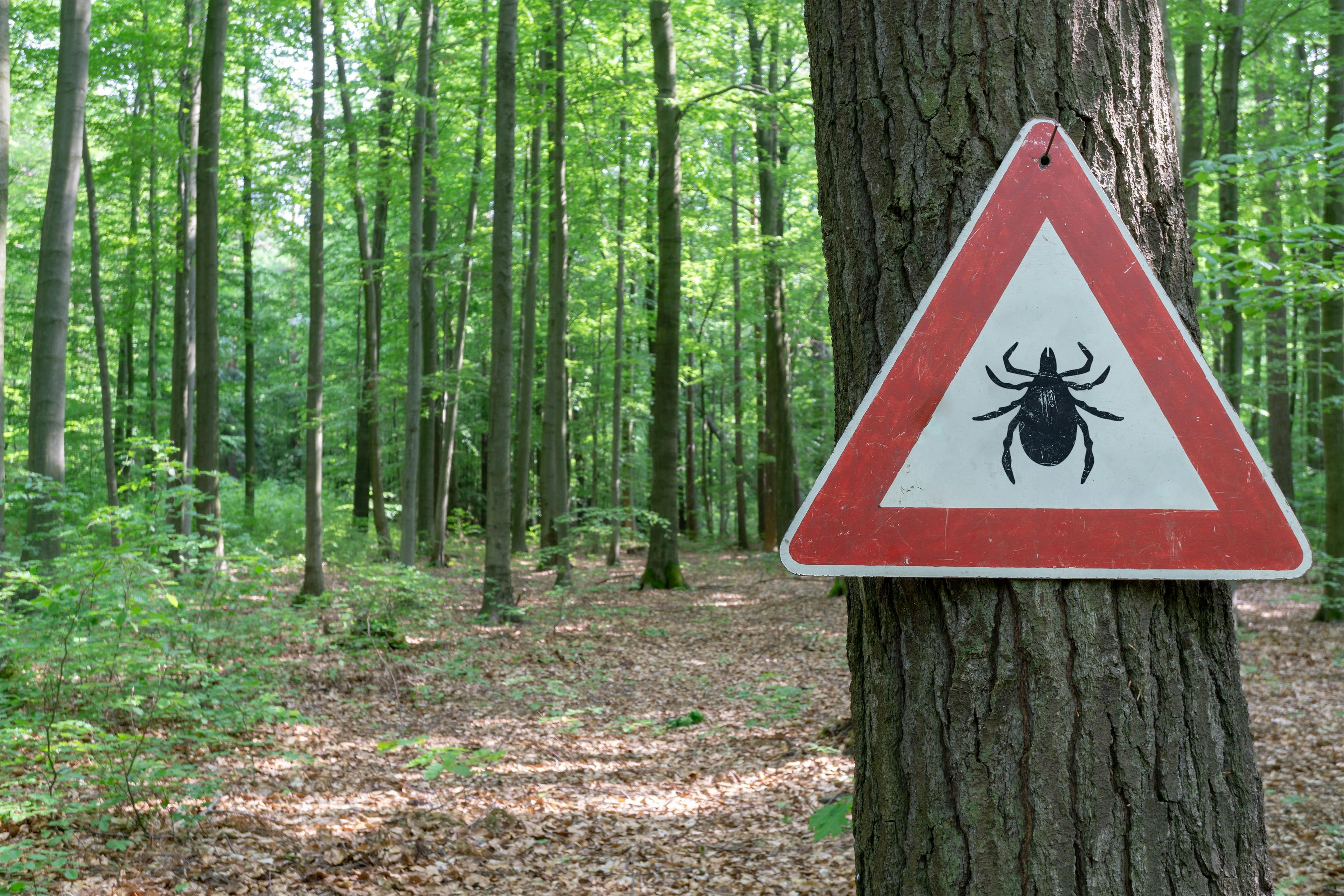 Lyme Disease in Psychiatry: Controversies, Chronic Symptoms, and Recent Developments