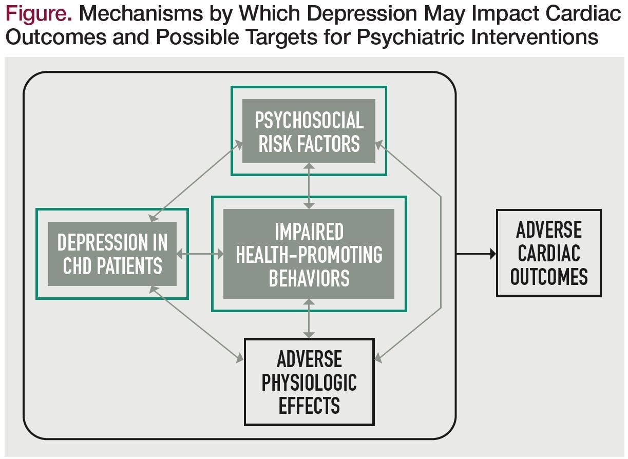 Figure. Mechanisms by Which Depression May Impact Cardiac Outcomes and Possible Targets for Psychiatric Interventions