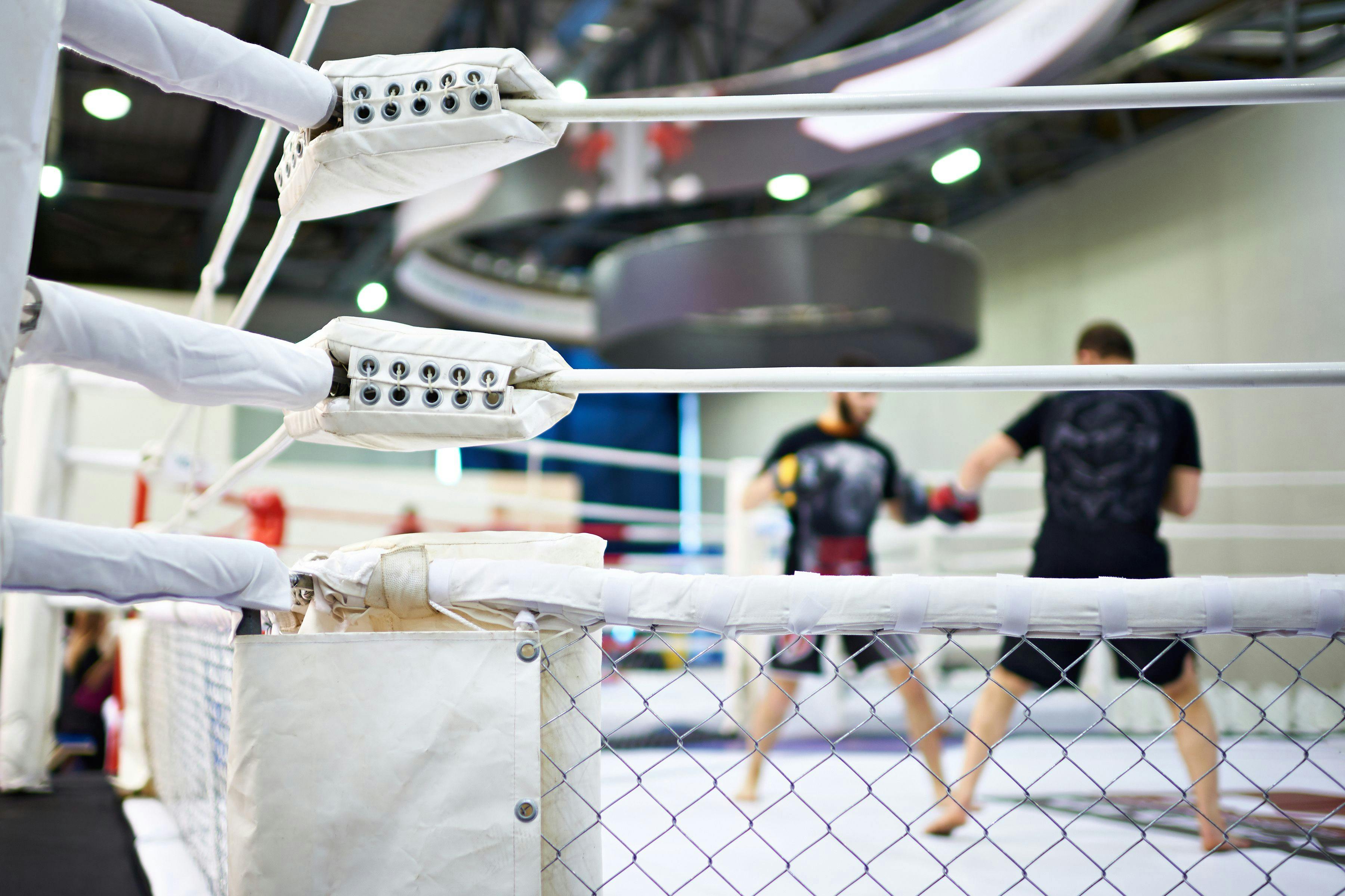 More Than a Knockout: Structural Brain Effects in MMA Sparring 