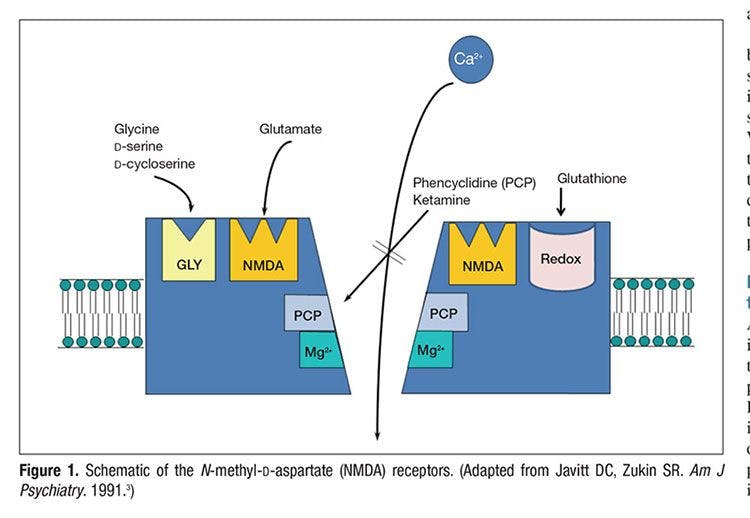 Schematic of the N-methyl-D-aspartate (NMDA) receptors