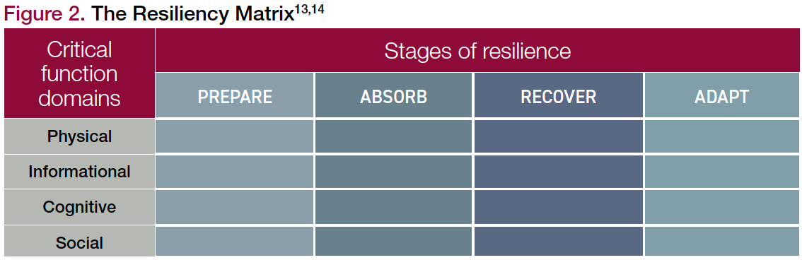 Figure 2. The Resiliency Matrix