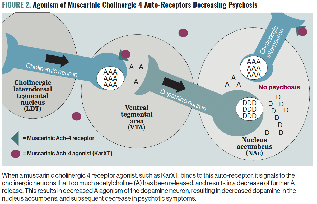 Figure 2. Agonism of Muscarinic Cholinergic 4 Auto-Receptors Decreasing Psychosis