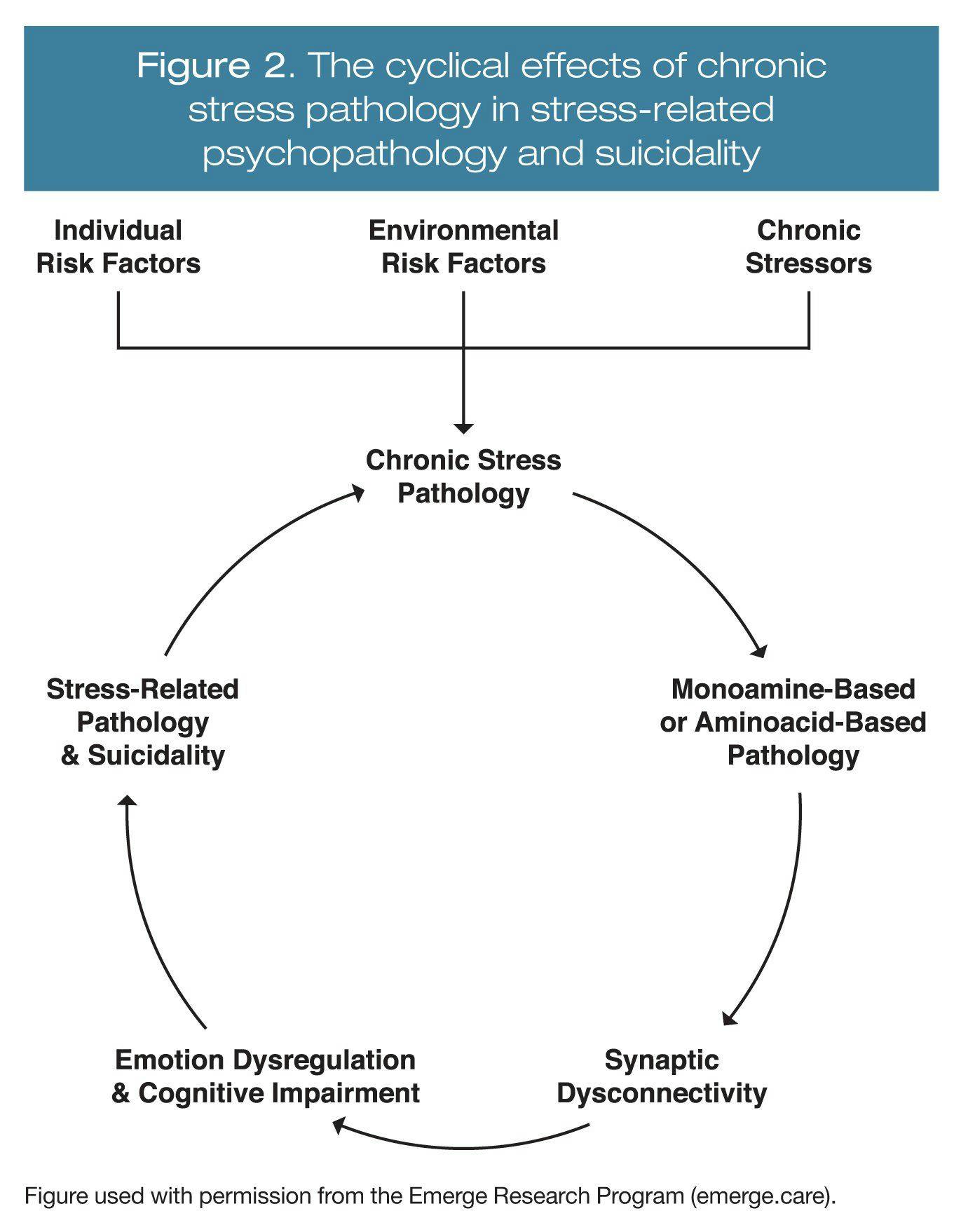 The cyclical effects of chronic stress pathology in stress-related psychopathology and suicidality
