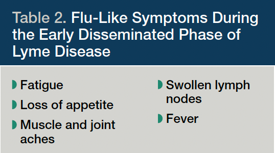 Table 2. Flu-Like Symptoms During the Early Disseminated Phase of Lyme Disease