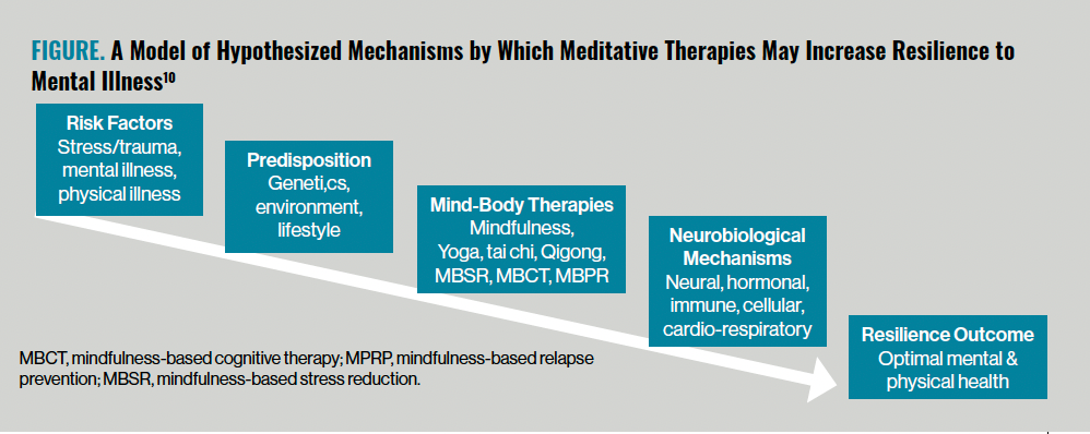 Figure. A Model of Hypothesized Mechanisms by Which Meditative Therapies May Increase Resilience to Mental Illness