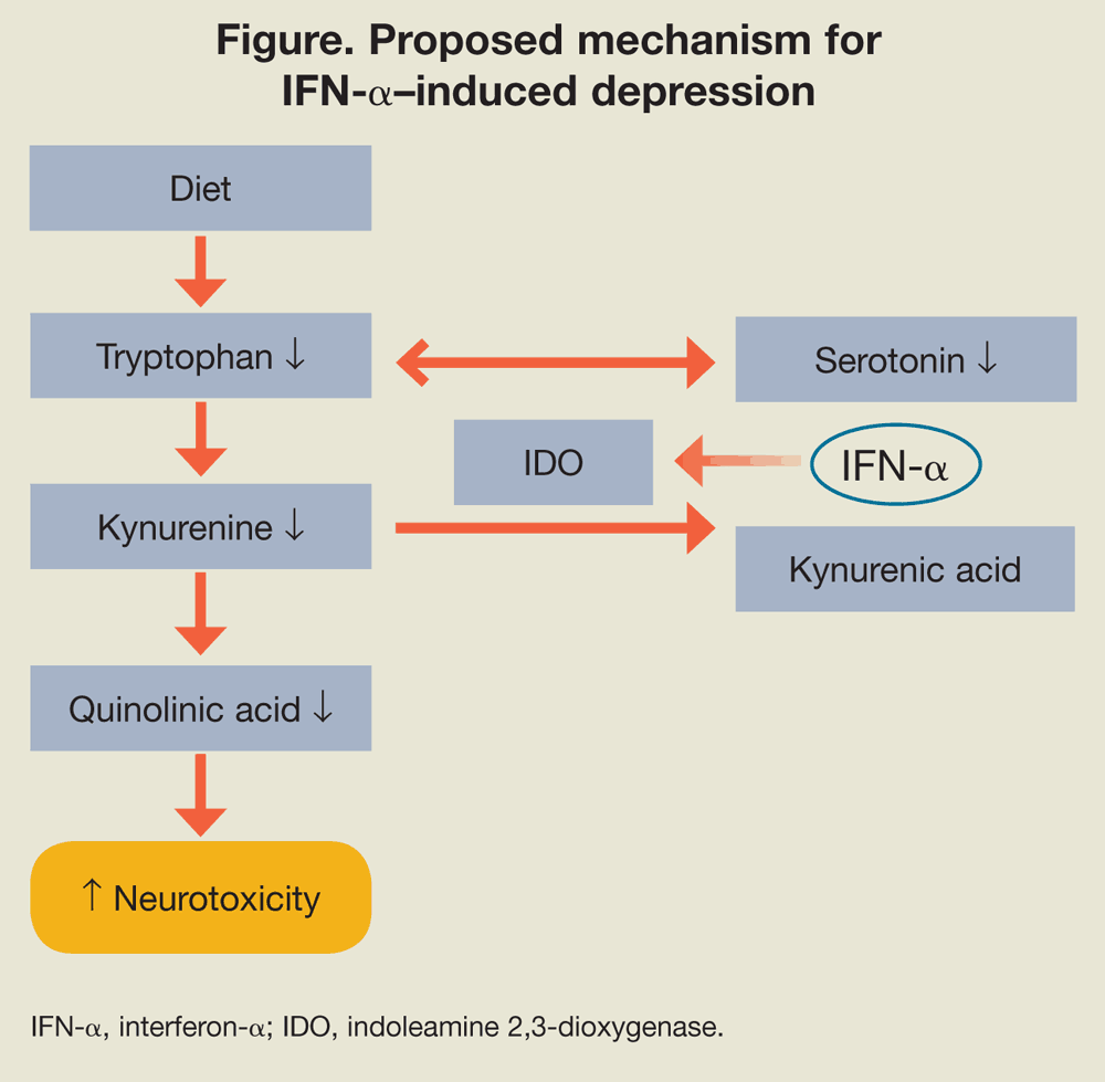 Proposed mechanism for IFN-a–induced depression