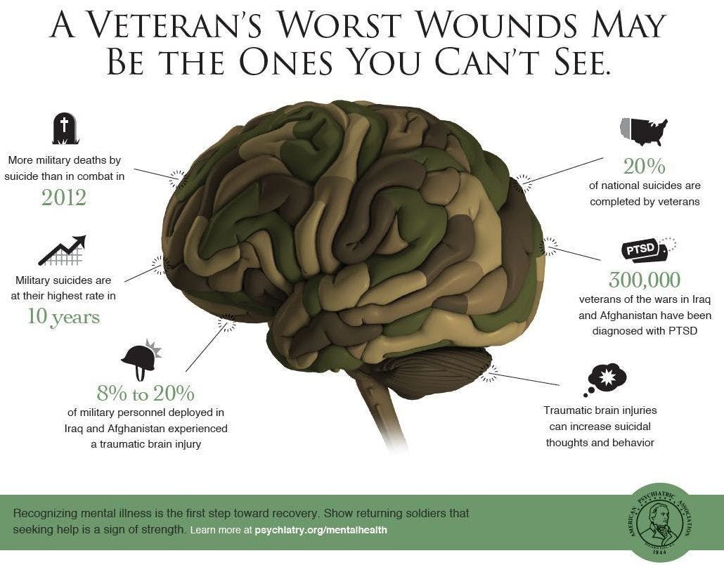 Veterans Day and Military Mental Health: The Startling Facts