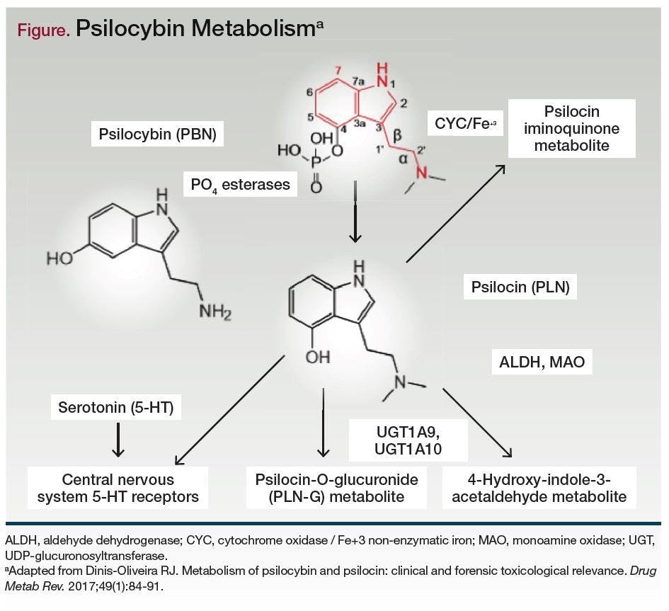 Figure. Psilocybin Metabolisma