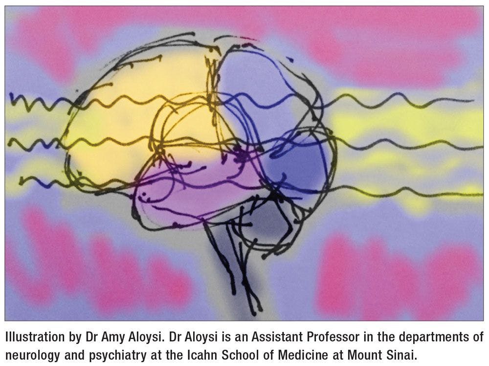 Illustration by Dr Amy Aloysi