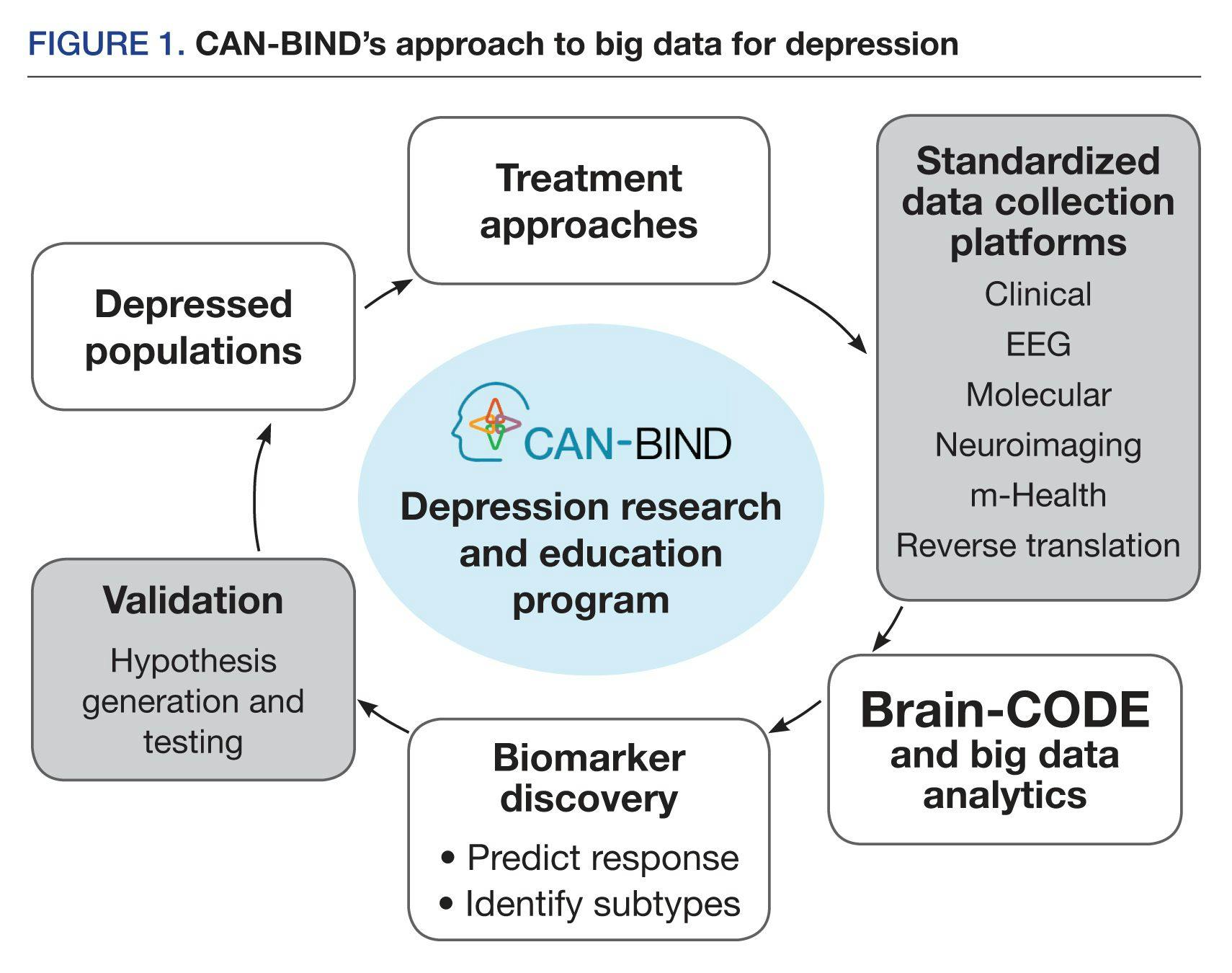 CAN-BIND’s approach to big data for depression