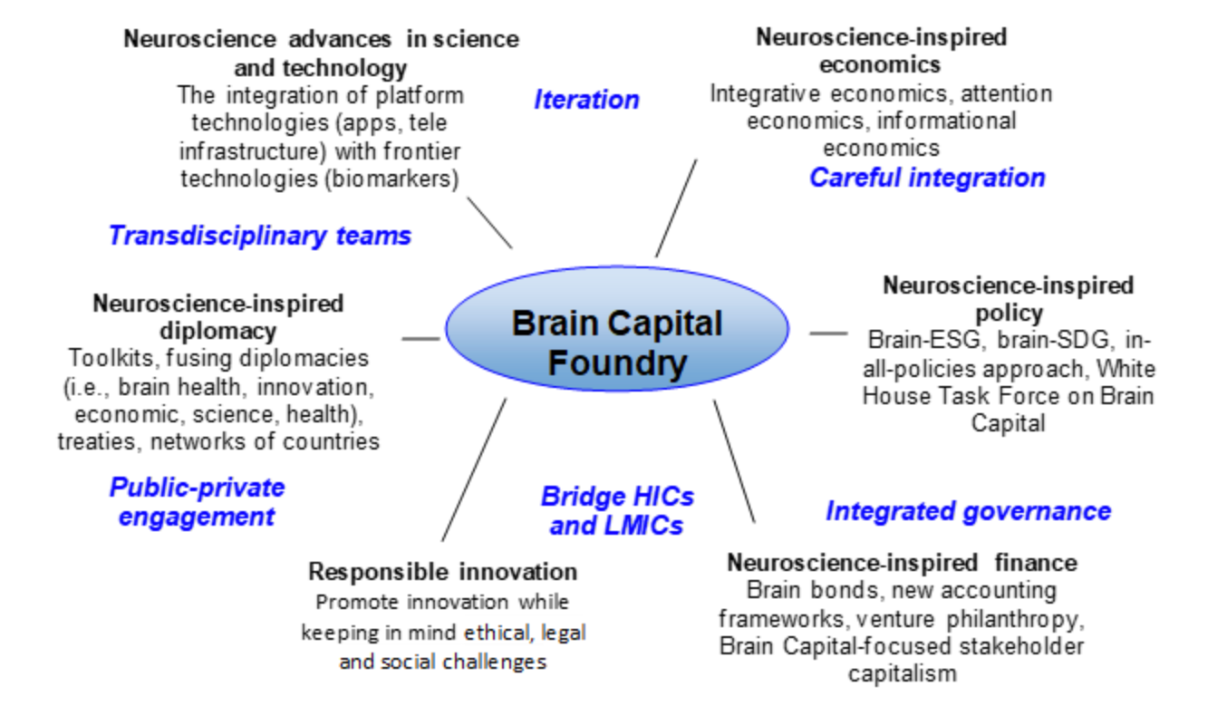 Figure. Overview of Brain Capital Foundry