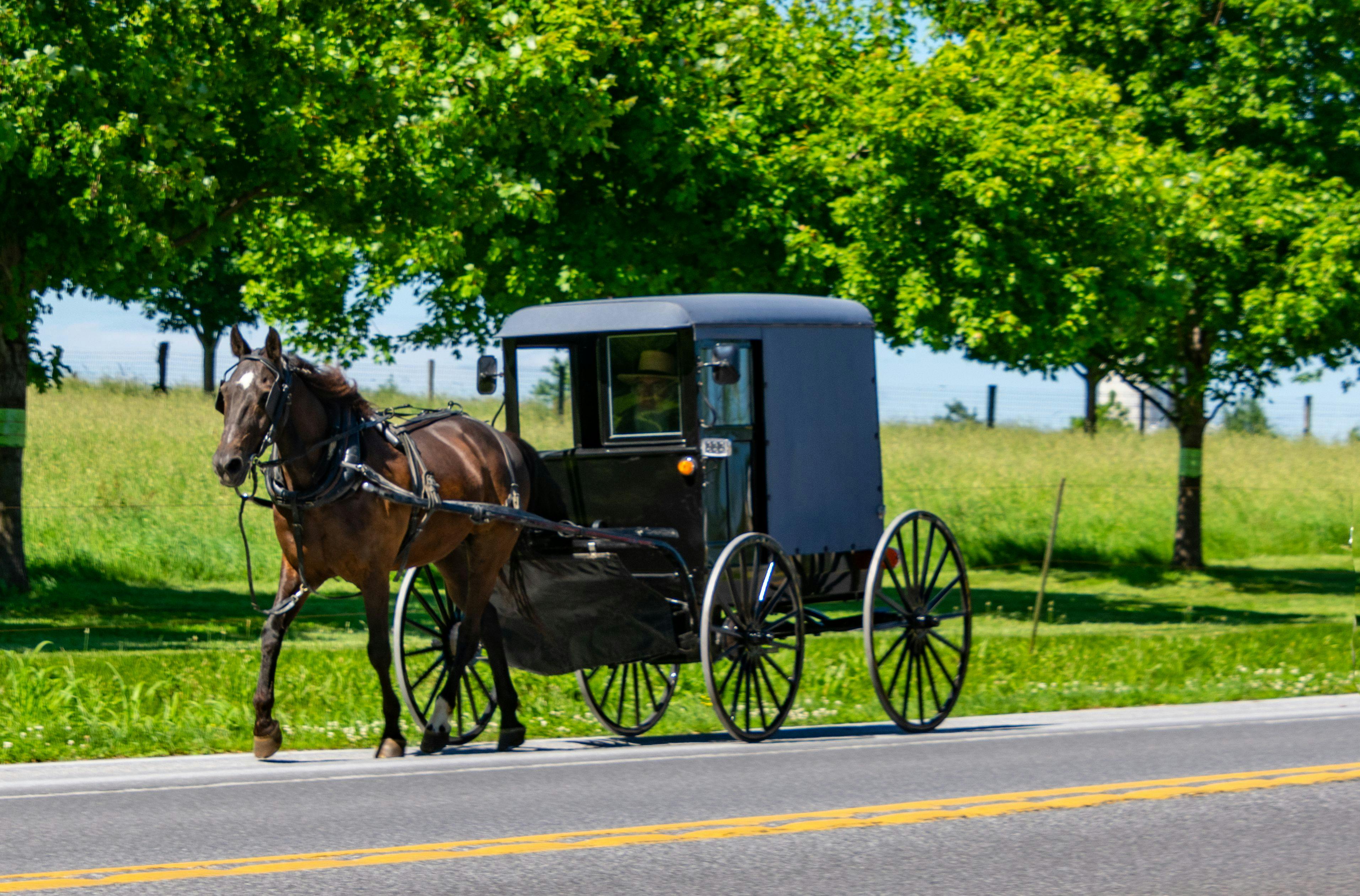 Keep the Cart Behind the Horse: Privilege and Responsibility as a Provider