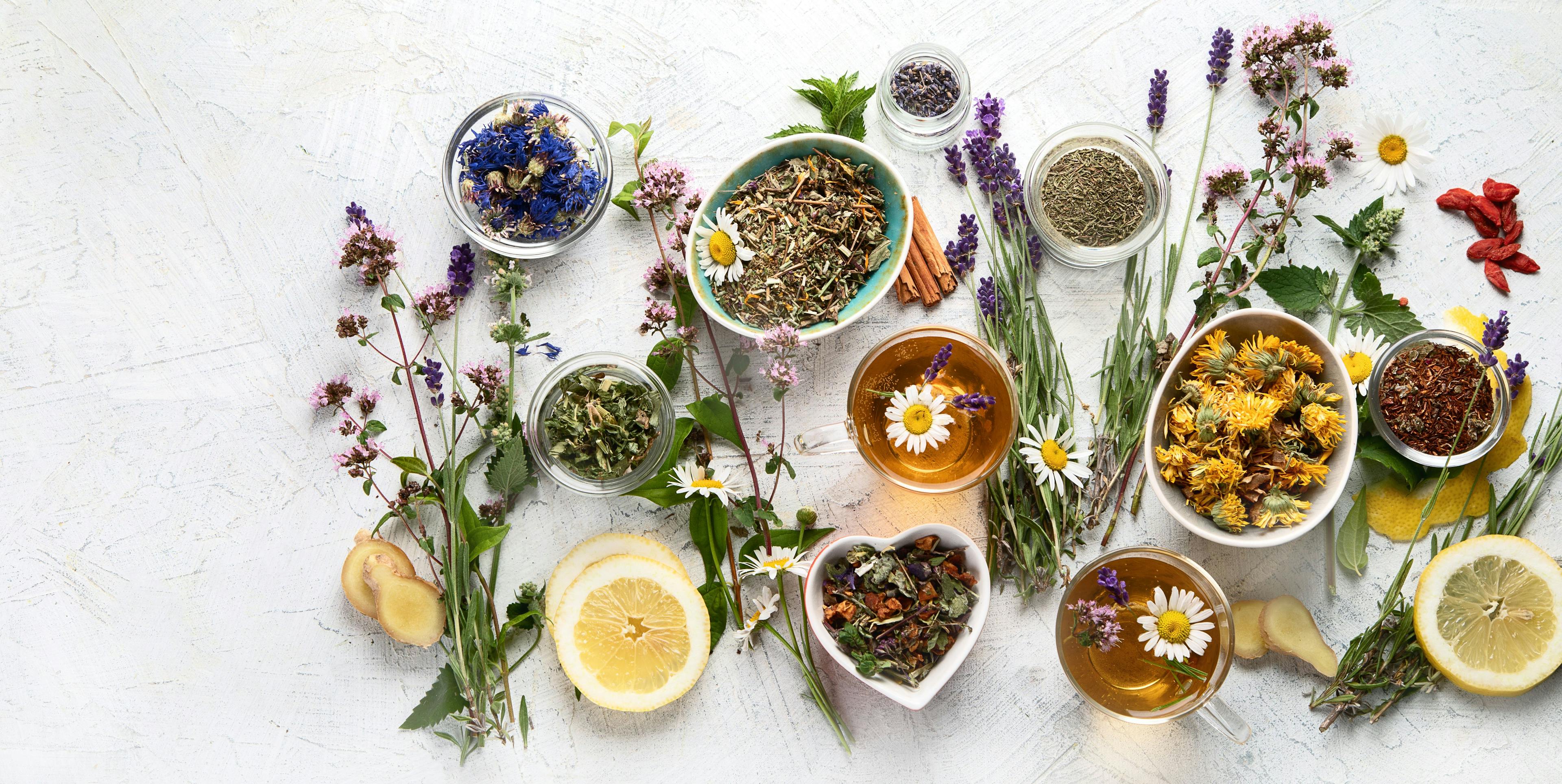 Herbal Medicine: What Psychiatrists Need to Know