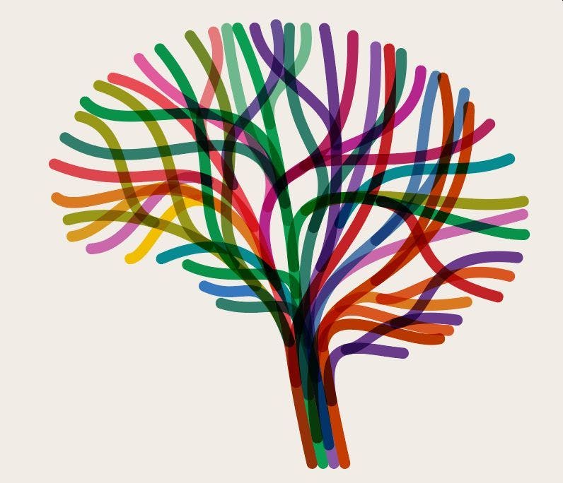 Neurodiversity as a Strength-Based Psychiatry