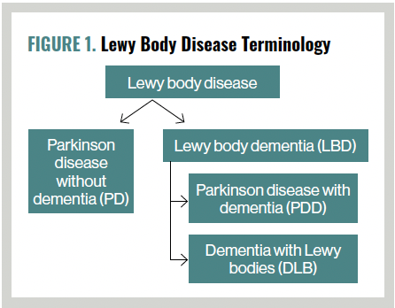 FIGURE 1. Lewy Body Disease Terminology